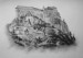 oravsky hrad 7.jpg